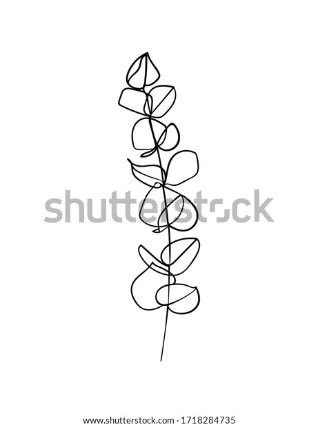 Eucalyptus Branch Continuous Line Drawing Vector Stock Vector (Royalty ...