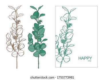   eucalyptus branch for decor, wedding invitation 