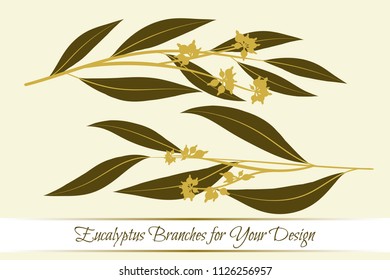 Eucalyptus Branch. Decorative Greenery of Rustic Wedding. Vector Eucalyptus Leaves Set. Elegant Floral Elements Big Selection for Wedding Design, Invitation, Card. Eucalyptus Branches in Vintage Style