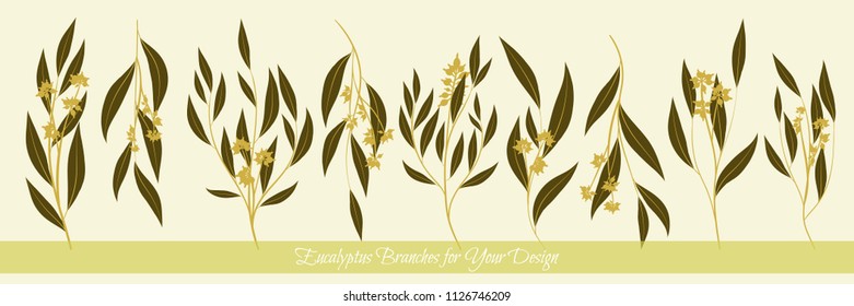 Eucalyptus Branch. Decorative Greenery of Rustic Wedding. Vector Eucalyptus Leaves Set. Elegant Floral Elements Big Selection for Wedding Design, Invitation, Card. Eucalyptus Branches in Vintage Style