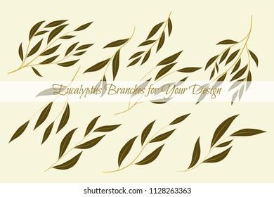Eucalyptus Branch. Decorative Greenery of Rustic Wedding. Vector Eucalyptus Leaves Set. Elegant Floral Elements Big Selection for Wedding Design, Invitation, Card. Eucalyptus Branches in Vintage Style