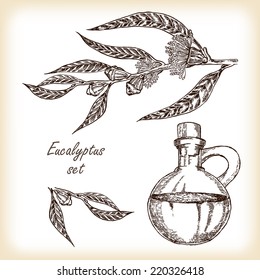 Eucalyptus branch with glass jar hand drawn vector illustration in sketch style