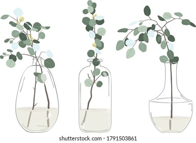 Eucalyptus Branch House Plant In Glass Jar Collections