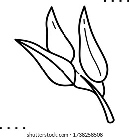 Eucalyptus branch icon in outlines