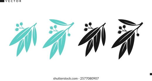 Eucalyptus branch with leaves silhouette. Eucalyptus tree vector illustration. Nature in Australia 