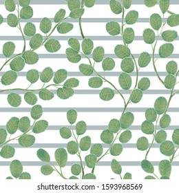 Eucalyptus branch with leaves vector hand drawn seamless pattern. Watercolor imitation. Background with eucalyptus with blue stripes. Best for wrapping paper, wallpaper, textile or wedding design