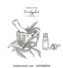 Eucalyptus  branch with mortar and glass bottle of oil. Hand drawn eucalyptus flowers and leaved. Vector illustration botanical. Engraving style.