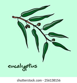 Eucalyptus branch on blue background