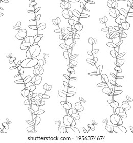 Eucalyptus branch pattern on white background. Line art style