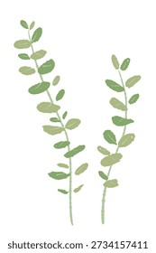 Eucalyptus Branch with Tiny Oval Leaves