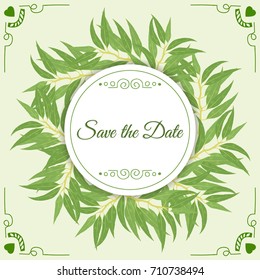 eucalyptus branches background. Vector