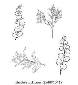 Eucalyptus branches. Isolated black and white design elements. Vector illustration.