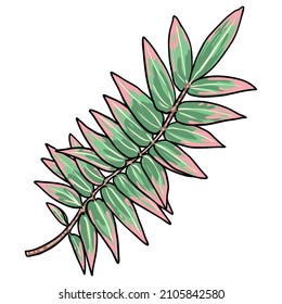 Eucalyptus branches isolated on white background. Hand drawing art watercolor imitation.  Twig and foliage made of real plant leaves. Decorative greenery flora plants. Vector.