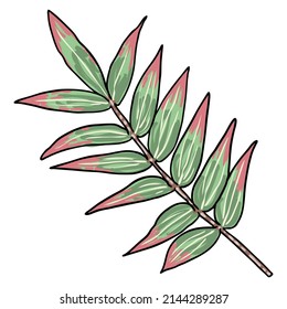 Eucalyptus branches isolated on white background. Hand drawing art watercolor imitation.  Twig and foliage made of real plant leaves. Decorative greenery flora plants. Vector.