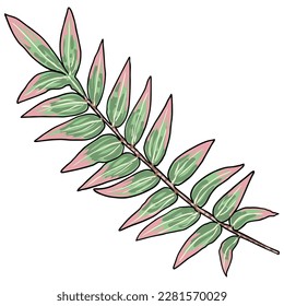 Eucalyptus branches isolated on white background. Hand drawing art watercolor imitation.  Twig and foliage made of real plant leaves. Decorative greenery flora plants. Vector.