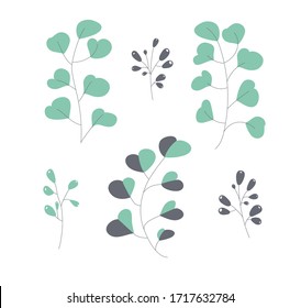 Eucalyptus branches and leaves are isolated on a white background. Flower grass green garland. Vector illustration.