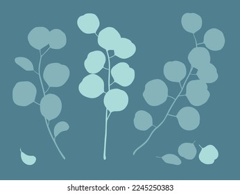 Eucalyptus. Eucalyptus branches and leaves silhouettes isolated on blue-green background. Tropical plant vector illustration. For decorating cards, invitations, wedding events.