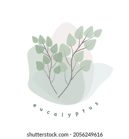 Eucalyptus branches on multicolor background. Minimalistic botanical elements for cosmetics. Hand-drawn design concept.