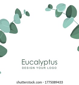 Eucalyptus branches on a white background. Design for your logo or project