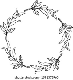 Eucalyptus branches round frame. Floral  Wreath  in outline style