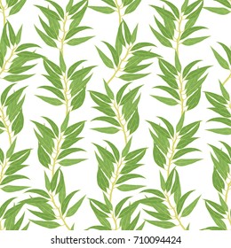 eucalyptus branches seamless pattern. Vector