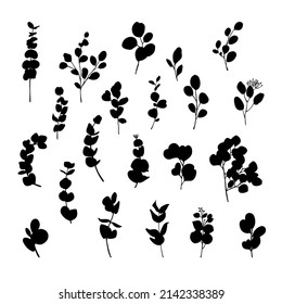 Eucalyptus branches silhouette vector collection.