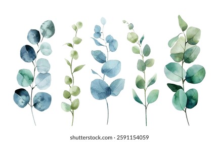 Eucalyptus branches vector collection, five distinct stems with rounded, oval-shaped leaves in varying shades of blue, green, and teal. Eucalyptus branches painted in a watercolor style.