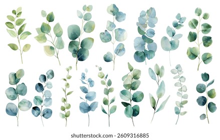 Eucalyptus branches vector collection, set of distinct stems with rounded, oval-shaped leaves in varying shades of blue, green, and teal. Eucalyptus branches painted in a watercolor style.