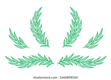 Eucalyptus branches and wreaths with leaves set.