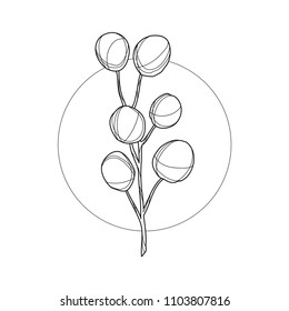 Eucalyptus branck in geometric background. Simple icon composition. Vector illustration. Line work. Modern monochrome logotype. Nature representation.