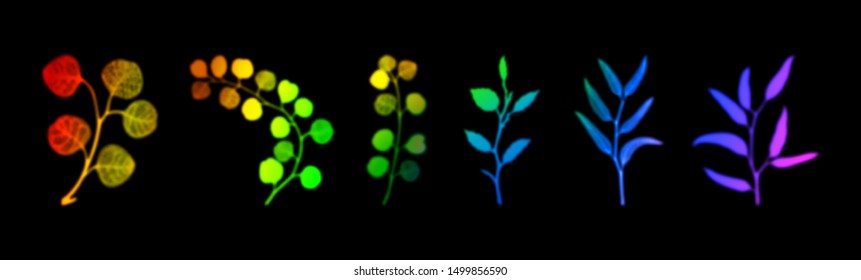 Eucalyptus bright branches leaves set, design objects isolated ob black background, rainbow colorful abstract collection. Botanical multicolored neon gradient vibrant trendy illustration