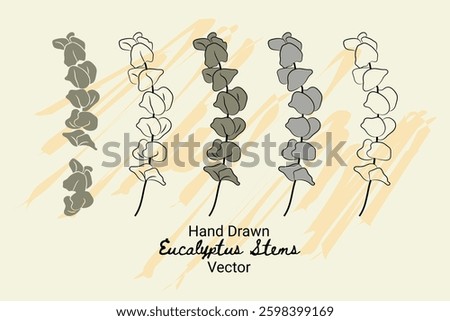 Eucalyptus cinerea botany organic hand drawn vector design elements collection