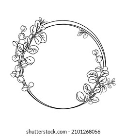 Eucalyptus circle frame, hand drawn leaves frame for invitation design.Vector illustration isolate on white design