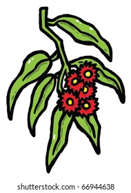 Eucalyptus color vector illustration