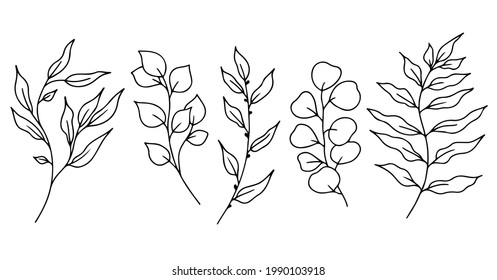 Eucalyptus doodle branch.Set of plants and tree branches with leaves and berries. Hand drawn botanical illustration. Black and white doodle vector image