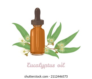 Eucalyptus essential oil. Amber glass dropper bottle and Eucalyptus leaf and flowers isolated on white background. Vector illustration in cartoon flat style.