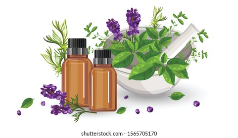 Eucalyptus essential oil bottle with dropper. Green mint leaves in spice mill and lavender flower decorations. Healthcare Vector