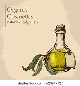 Eucalyptus essential oils in glass bottle. Vector illustration. Engraving style illustration