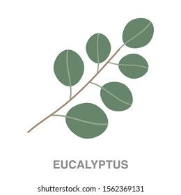 Eucalyptus flat icon on white transparent background. You can be used eucalyptus icon for several purposes.