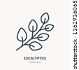eucalyptus icon