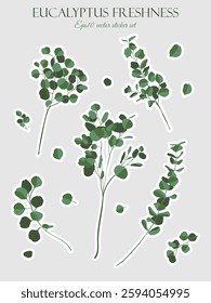 Eucalyptus flat style vector sticker set on printable background.