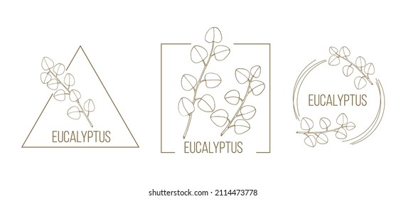 Eucalyptus floral hand drawn logo template. Vector illustration for badges, labels, and branding business identity