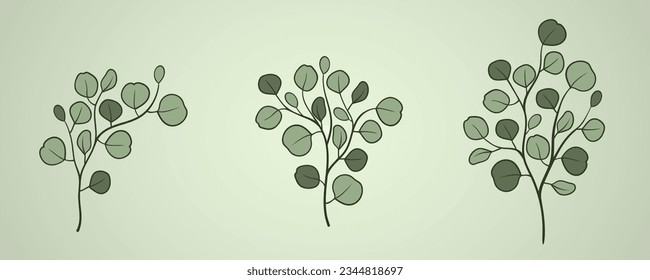 Eucalyptus floral set. Green leaf branches, Silver dollar greenery, natural leaves tropical elements for wedding invitation, stationary, greetings, wallpapers, fashion, background.
