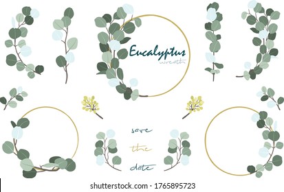 Eucalyptus Foliage Wreath Collections Set