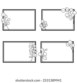 eucalyptus frame isolate on white background