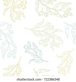 Eucalyptus graphic color seamless pattern sketch illustration vector