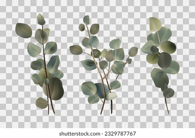 Eucalyptus green branch. Plant icon 3d. Tropical tree, evergreen leaves. Decorative eucalyptus branch for the design of cards, invitations, notebooks and covers. Vector set illustration 3d.