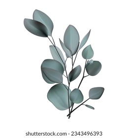 Eucalyptus green branch. Plant icon 3d. Tropical tree, evergreen leaves. Decorative eucalyptus branch for the design of cards, invitations, notebooks and covers. Vector isolated illustration 3d.