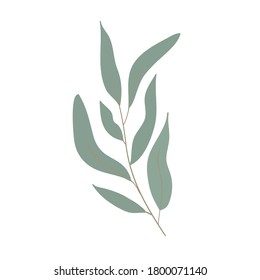 Eucalyptus greenery, natural leaves & branches designer art tropical elements. Hand drawn in watercolor style. Vector decorative beautiful elegant illustration.