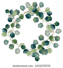 Eucalyptus gum tree leaves on branches frame wreath isolated on white watercolor illustration. Eucalyptus plant herbal alternative medical care leaves. Green medical herbs gum tree branch.